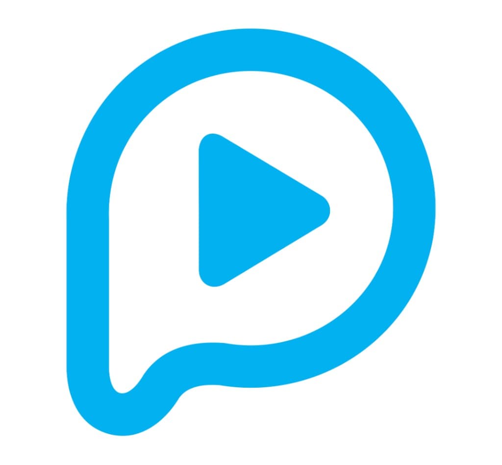 Plug & Play Computers logo