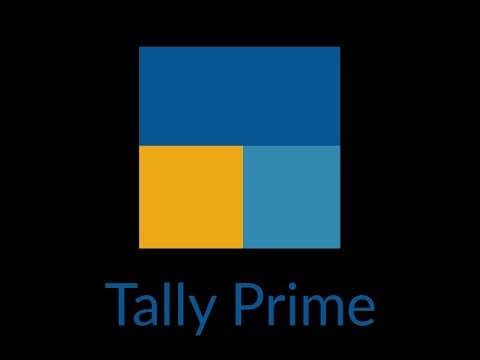 Tally 4.0 - Plug & Play Computers Tally tutorial